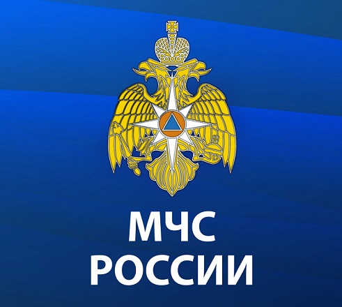 Мобильное приложение «МЧС России»